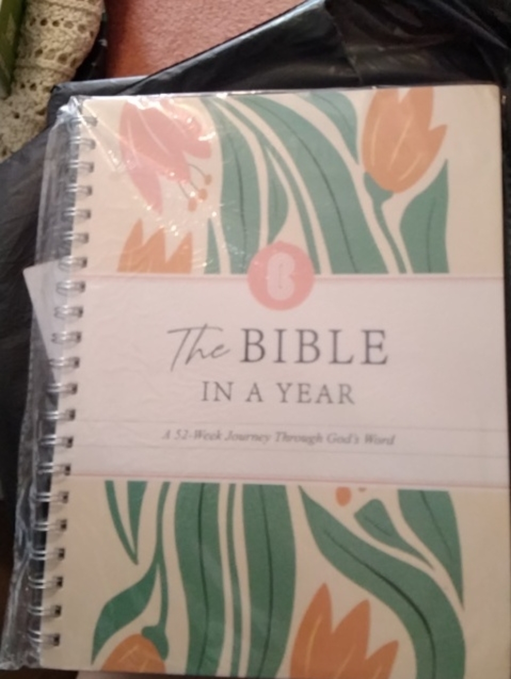 The Bible in a Year Spiral Journal - 1125